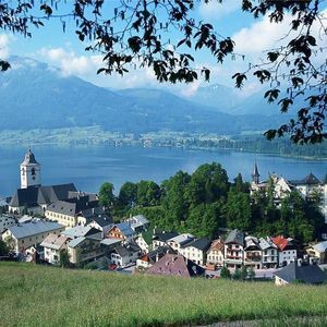 Meet your Posher, Bobo